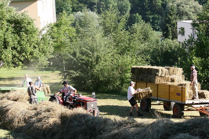Heuen 2008 046.jpg